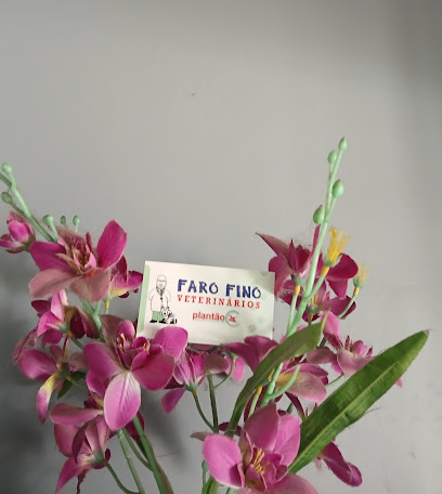 Faro Fino - Veterinário em São José dos Campos - SP