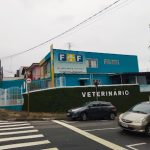 Imagem ilustrativa da empresa FeF Clínica Veterinária e Pet Shop | Banho e Tosa | Creche e Hotel | Farmácia Pet no Parque Jaçatuba em Santo André - SP