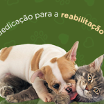Imagem ilustrativa da empresa Fisio Care Pet Santo André Fisioterapia Acupuntura e Ortopedia Veterinária em Santo André - SP