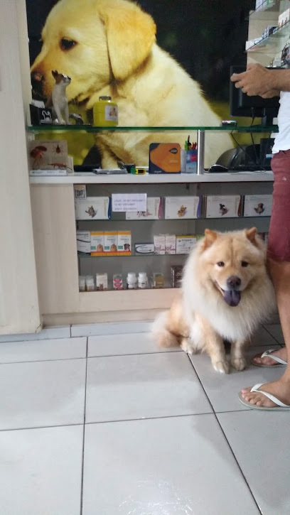 Focus Diagnóstico Veterinário - João Pessoa em João Pessoa - PB