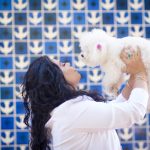 Imagem ilustrativa da empresa Gabriela Souza - endocrinologista veterinária em Brasília - DF
