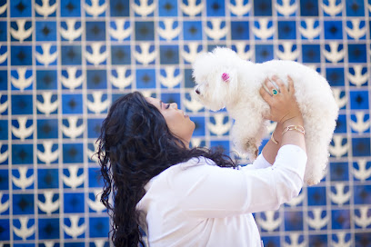 Gabriela Souza - endocrinologista veterinária em Brasília - DF