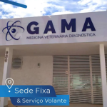 Imagem ilustrativa da empresa Gama Medicina Veterinária Diagnóstica em Uberlândia - MG