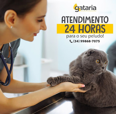 Gataria Medicina Felina Especializada - Veterinário em Uberlândia - MG