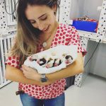 Imagem ilustrativa da empresa Giovana pitol Médica Veterinária em São Bernardo do Campo - SP