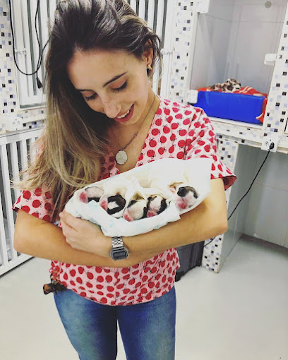 Giovana pitol Médica Veterinária em São Bernardo do Campo - SP