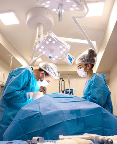 Hospital Clínica Veterinária Amparo com Emergência Veterinária 24 horas em Brasília - DF