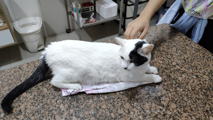Imagem ilustrativa da empresa Hospital dos Animais - Veterinário em Rio de Janeiro - RJ