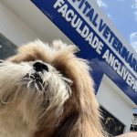 Imagem ilustrativa da empresa Hospital Veterinário Faculdade Anclivepa em João Pessoa - PB