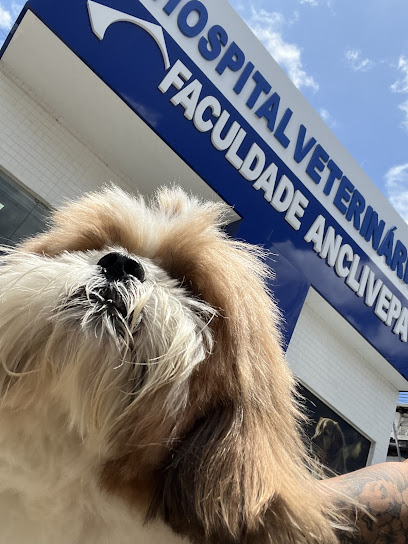 Hospital Veterinário Faculdade Anclivepa em João Pessoa - PB