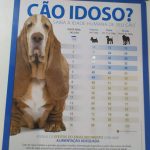 Imagem ilustrativa da empresa Hospital Veterinário Modelo - 24h em Santo André - SP