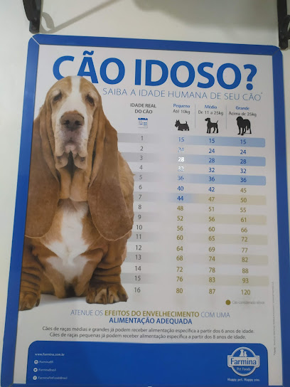 Hospital Veterinário Modelo - 24h em Santo André - SP