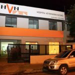Imagem ilustrativa da empresa Hospital Veterinário Niterói em Niterói - RJ