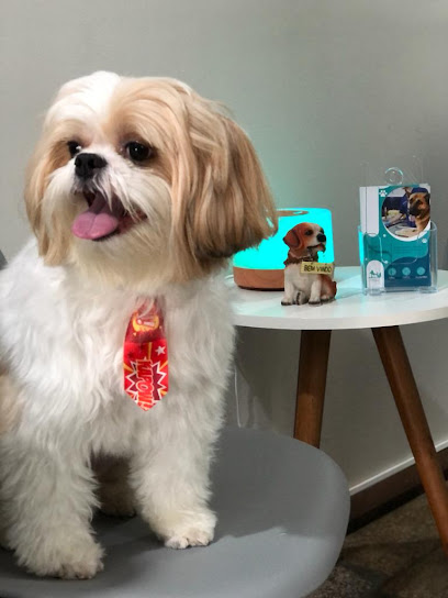 Hospital Veterinário Pigovet - 24 horas em São José dos Campos - SP