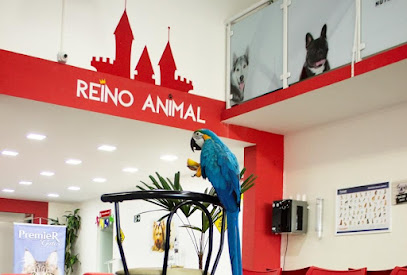 Hospital Veterinário Reino Animal 24h em São Bernardo do Campo - SP