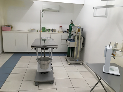 HVSA - Hospital Veterinário Santo Anjo em Brasília - DF