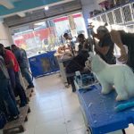 Imagem ilustrativa da empresa Império Rações - Loja ² - Estrada da Redinha - Veterinário em Natal - RN