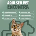 Imagem ilustrativa da empresa Inovapet Clínica Veterinária em Manaus - AM