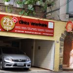 Imagem ilustrativa da empresa INPA-Clínica Veterinária & Pet Shop em Rio de Janeiro - RJ