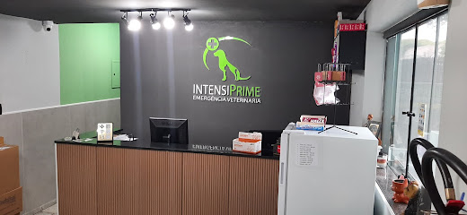 IntensiPrime Emergência Veterinária 24h em Santo André - SP