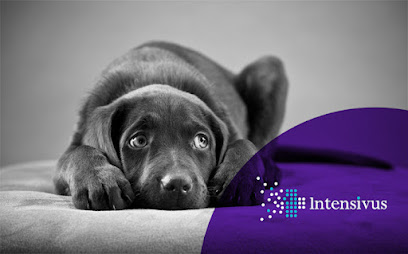 Intensivus UTI 24h, Cirurgia e Ortopedia Veterinária - PAULO PITARELLO MOYA em Santo André - SP
