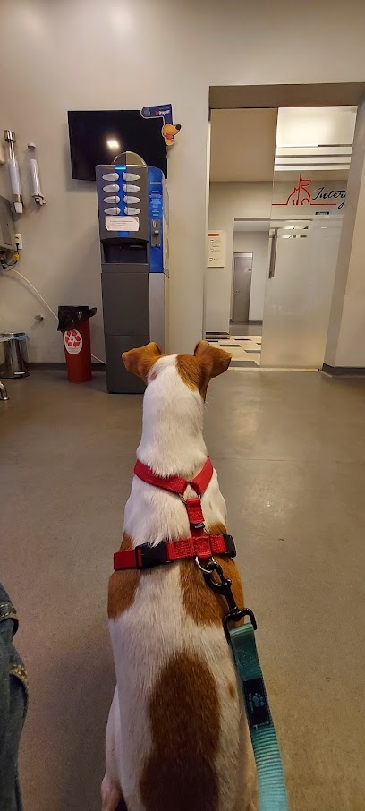 Intergavea - Veterinário em Rio de Janeiro - RJ