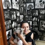 Imagem ilustrativa da empresa Intervet Internação Veterinária de Cães e Gatos 24 horas em Rio de Janeiro - RJ