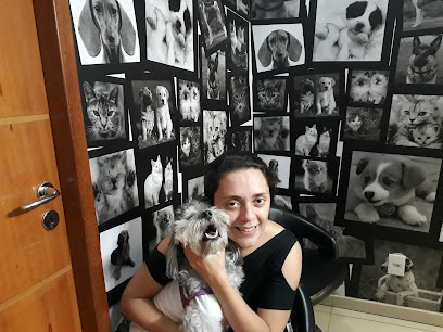 Imagem ilustrativa da empresa Intervet Internação Veterinária de Cães e Gatos 24 horas em Rio de Janeiro - RJ