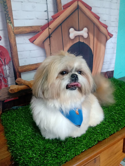 ITAPETI Veterinária em Santo André - SP