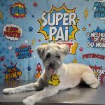 Imagem ilustrativa da empresa La Vet Veterinária e Pet Shop em São Gonçalo - RJ