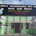 Imagem ilustrativa da empresa Mais que Bicho - Veterinário em São Bernardo do Campo - SP