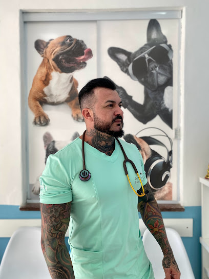Imagem ilustrativa da empresa Mederi Clínica Veterinária - Unidade Vila da Penha em Rio de Janeiro - RJ