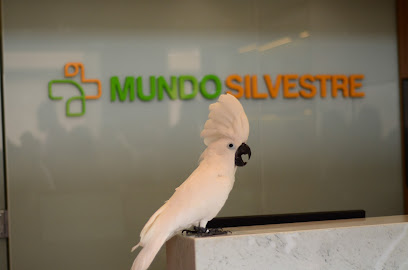 Imagem ilustrativa da empresa Mundo Silvestre - Medicina de Animais Silvestres e Exóticos - Veterinário em Brasília - DF