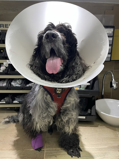 Mymba Clínica Veterinária em Brasília - DF