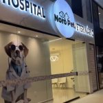 Imagem ilustrativa da empresa NOROPET HOSPITAL VETERINÁRIO em Brasília - DF