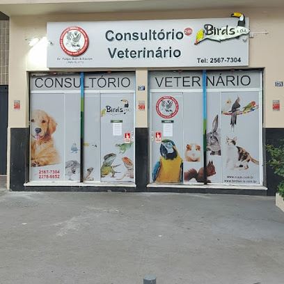 Nucleo de Internação para Aves e Animais Silvestres - NIAAS - Veterinário em Rio de Janeiro - RJ