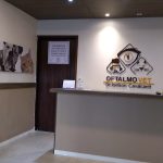 Imagem ilustrativa da empresa Oftalmologia Veterinária - OFTALMOVET em João Pessoa - PB