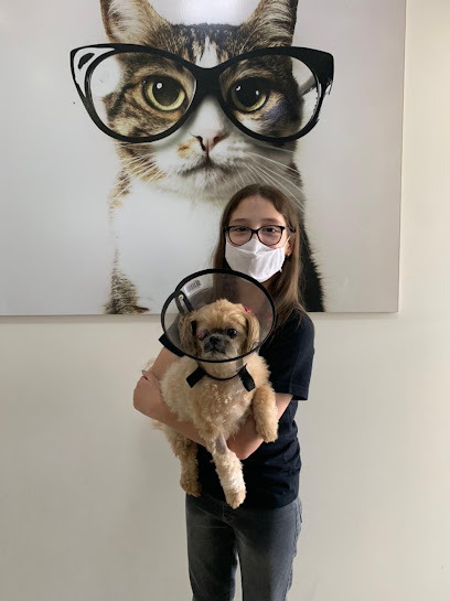 Oftalmologia Veterinária Olho Clínico em São José dos Campos - SP
