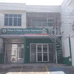 Imagem ilustrativa da empresa Patas & Patas Clínica Veterinária em Manaus - AM