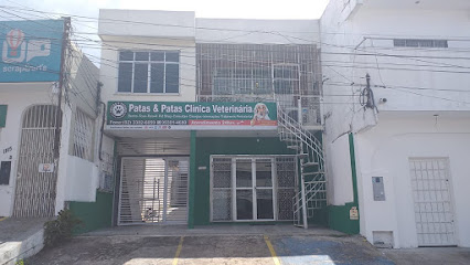 Patas & Patas Clínica Veterinária em Manaus - AM