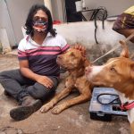 Imagem ilustrativa da empresa Personal Vet (Veterinário Domiciliar) em Uberlândia - MG