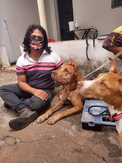 Personal Vet (Veterinário Domiciliar) em Uberlândia - MG