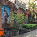 Imagem ilustrativa da empresa Pet Care Animália - Veterinário em Rio de Janeiro - RJ