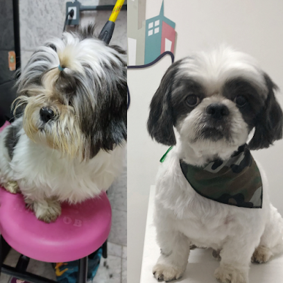 PET CITY - Veterinário em São Gonçalo - RJ