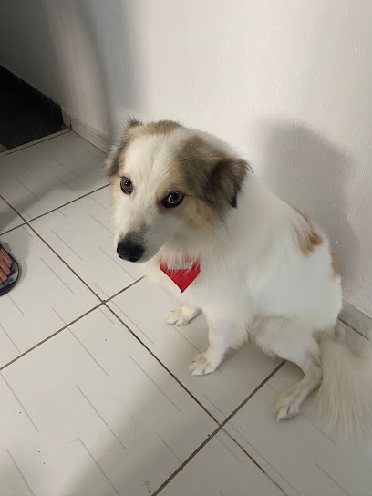 Pet Clinic - Clínica Veterinária em São José dos Campos - SP