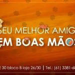 Imagem ilustrativa da empresa Pet Clínica Veterinária em Brasília - DF