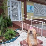 Imagem ilustrativa da empresa Pet Fanáticos - Especialidades Veterinárias em São Bernardo do Campo - SP