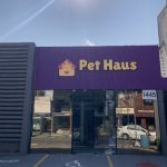 Imagem ilustrativa da empresa Pet Haus - Centro Médico e Bem-Estar Animal - Veterinário em João Pessoa - PB