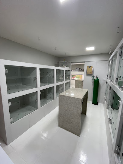 Pet Health | Centro Veterinário em Brasília - DF