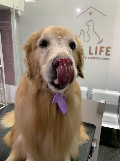 Pet Life Clínica Veterinária e Estética Animal em Rio de Janeiro - RJ